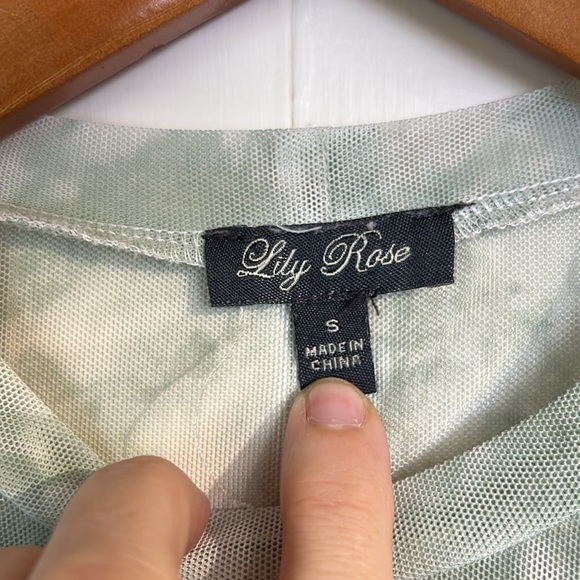 Lily Rose Green and White Sheer Dress with Tank lining - Picture 4 of 7